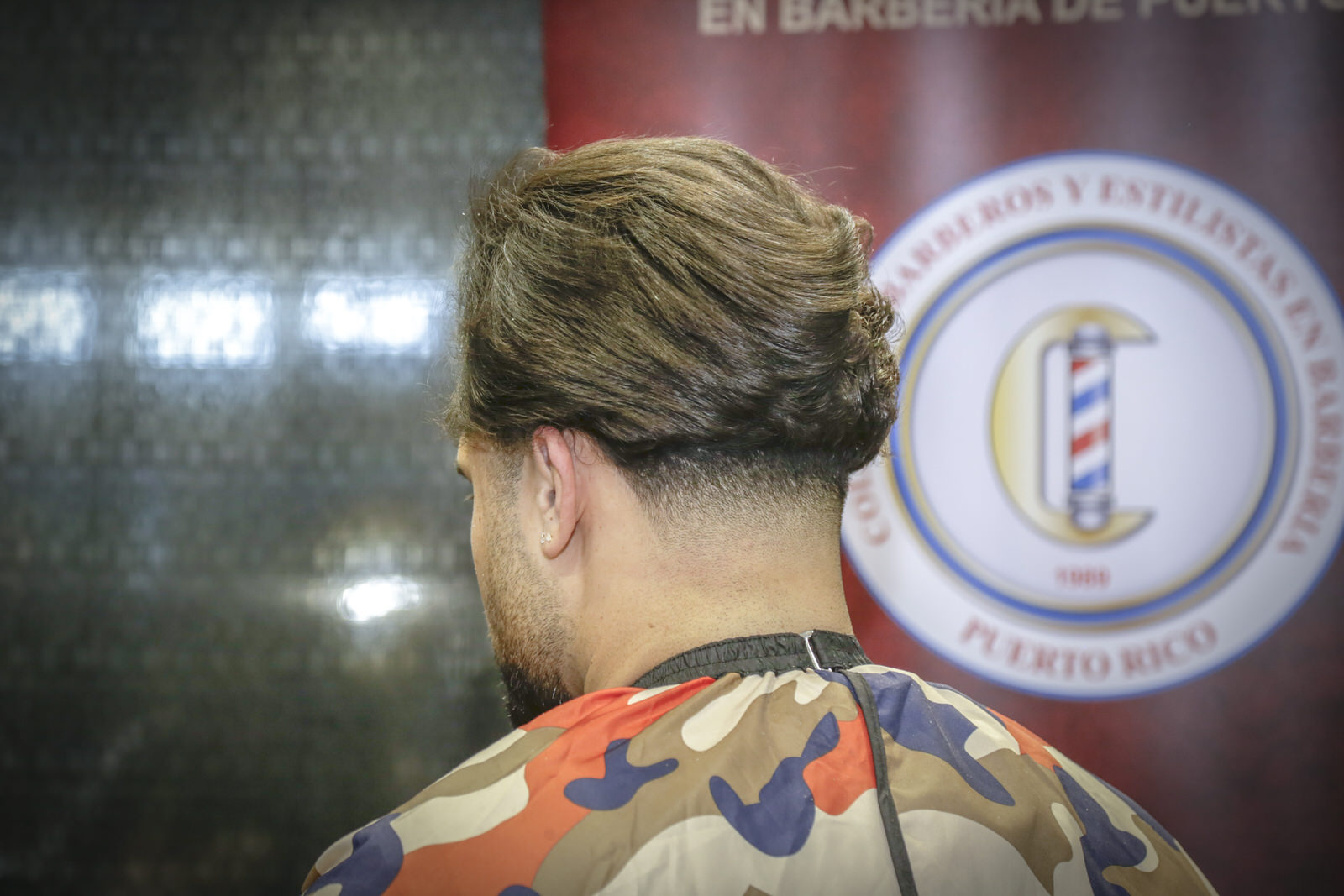 Professional Beautyshow Ponce 2, foto 11