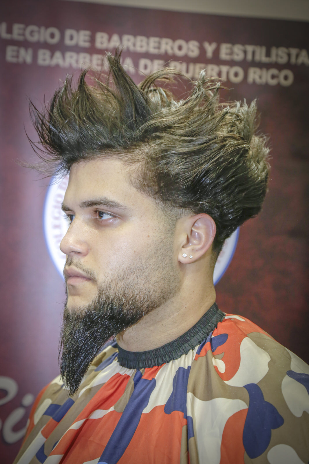 Professional Beautyshow Ponce 2, foto 22