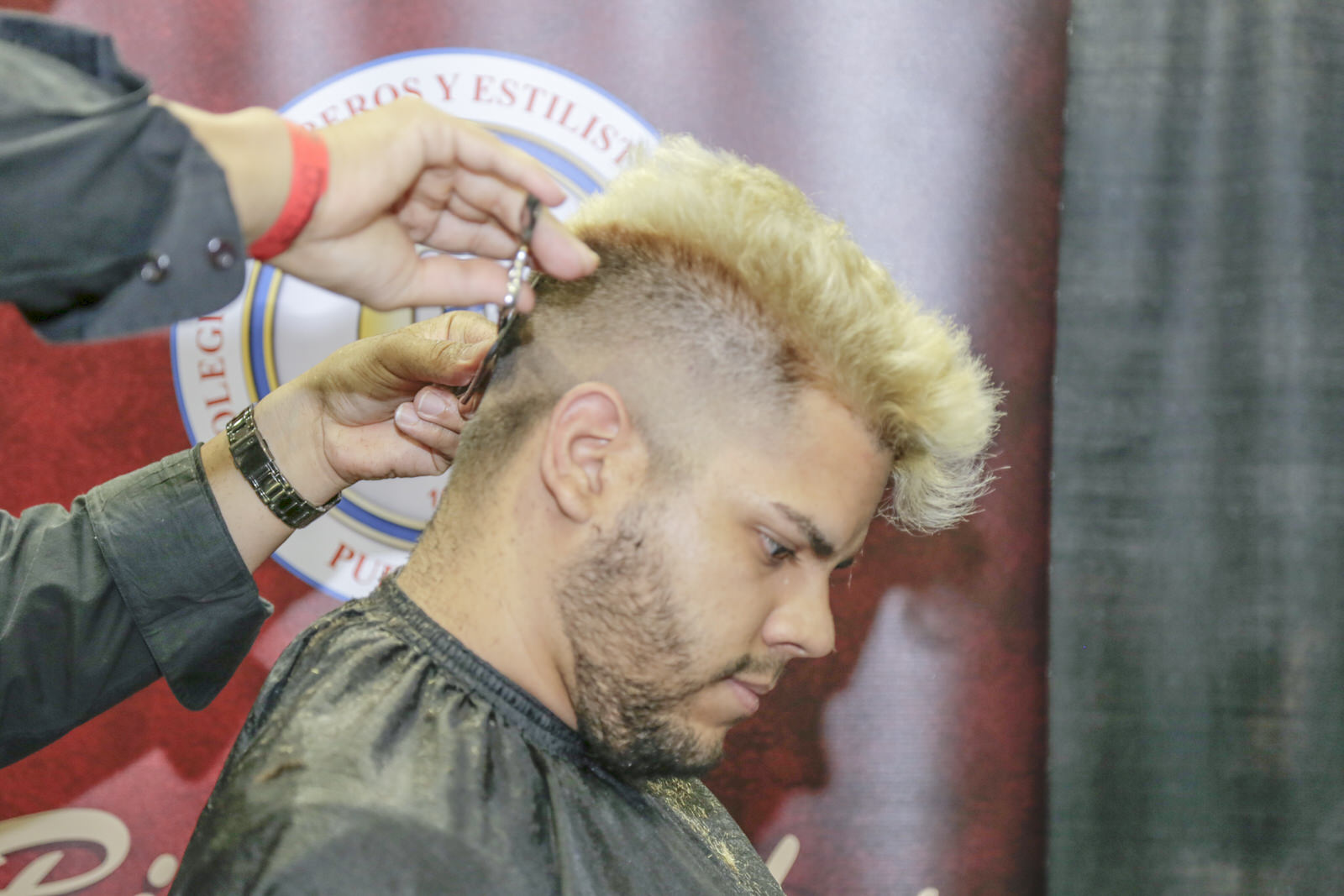 Professional Beautyshow Ponce, foto 93