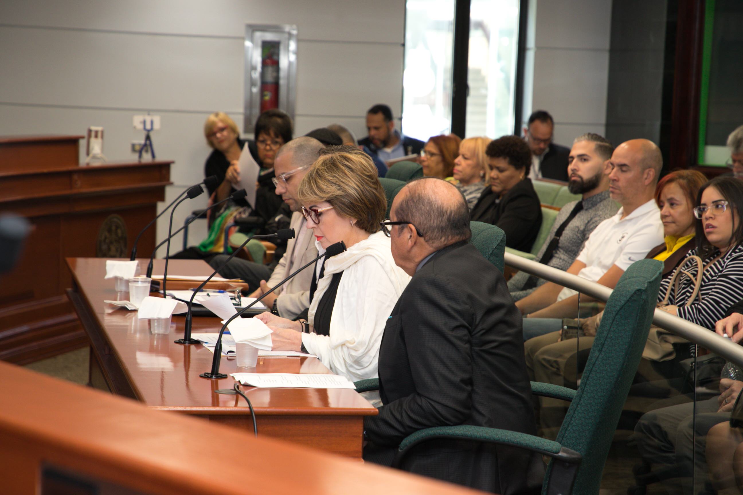 Ponencia Comisión Gobierno, foto 14