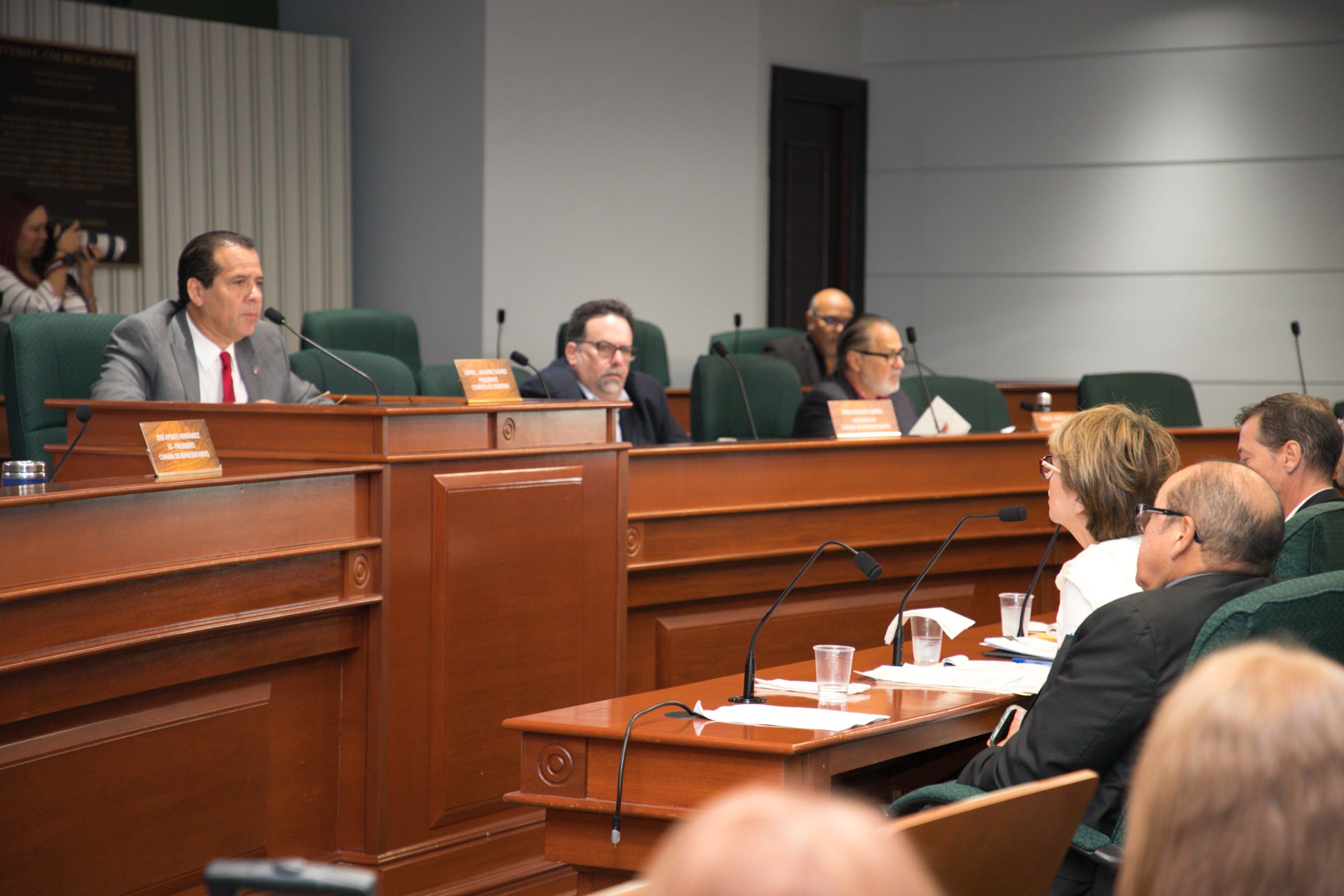 Ponencia Comisión Gobierno, foto 28